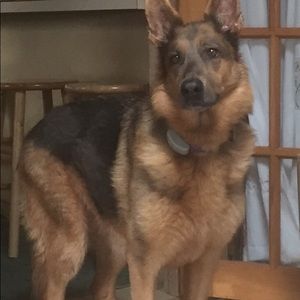 Meet your Posher, S. e.